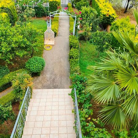 House With Wonderful View Apartment Lefkandi Chalkidas Ngoại thất bức ảnh