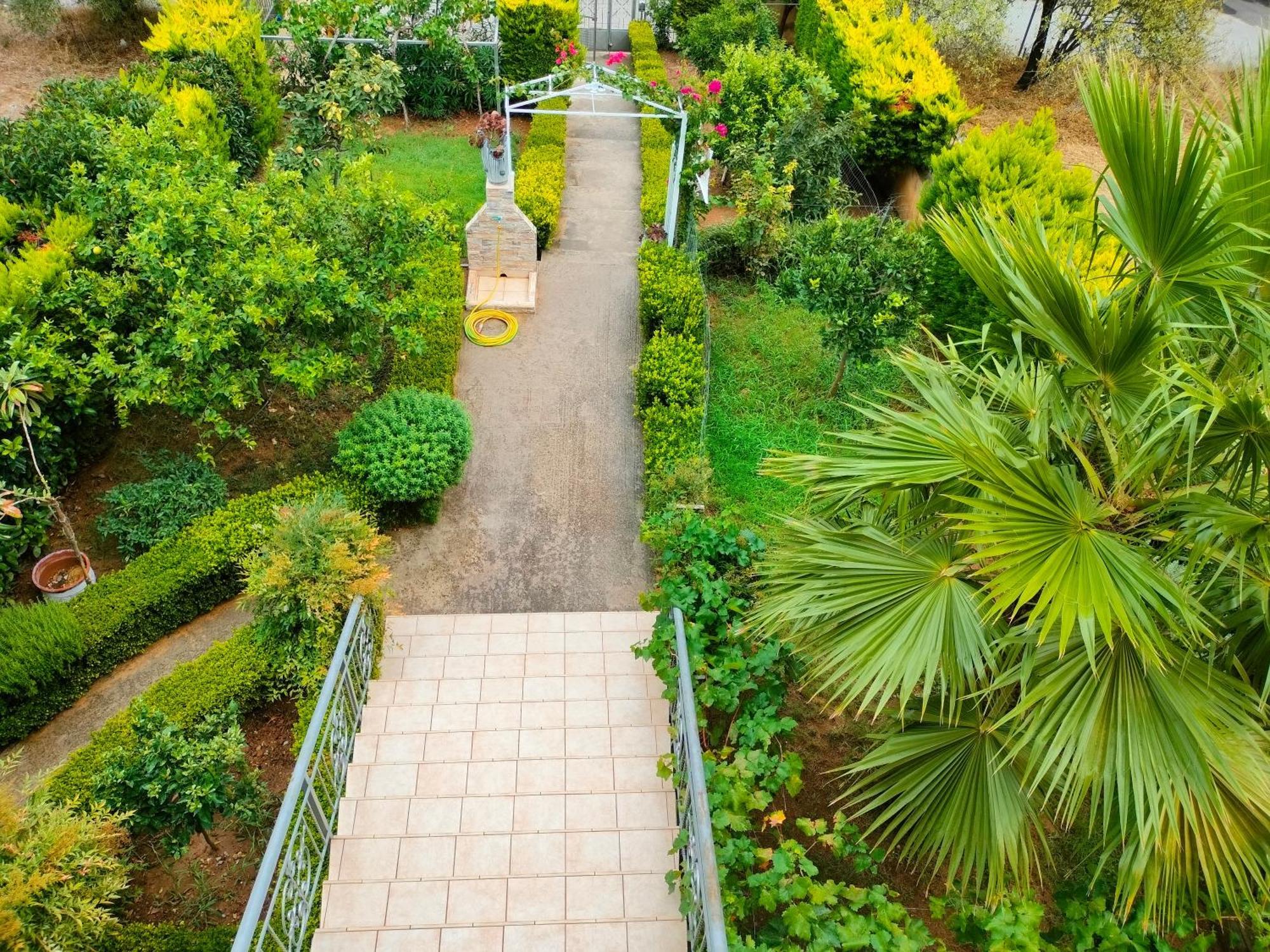 House With Wonderful View Apartment Lefkandi Chalkidas Ngoại thất bức ảnh