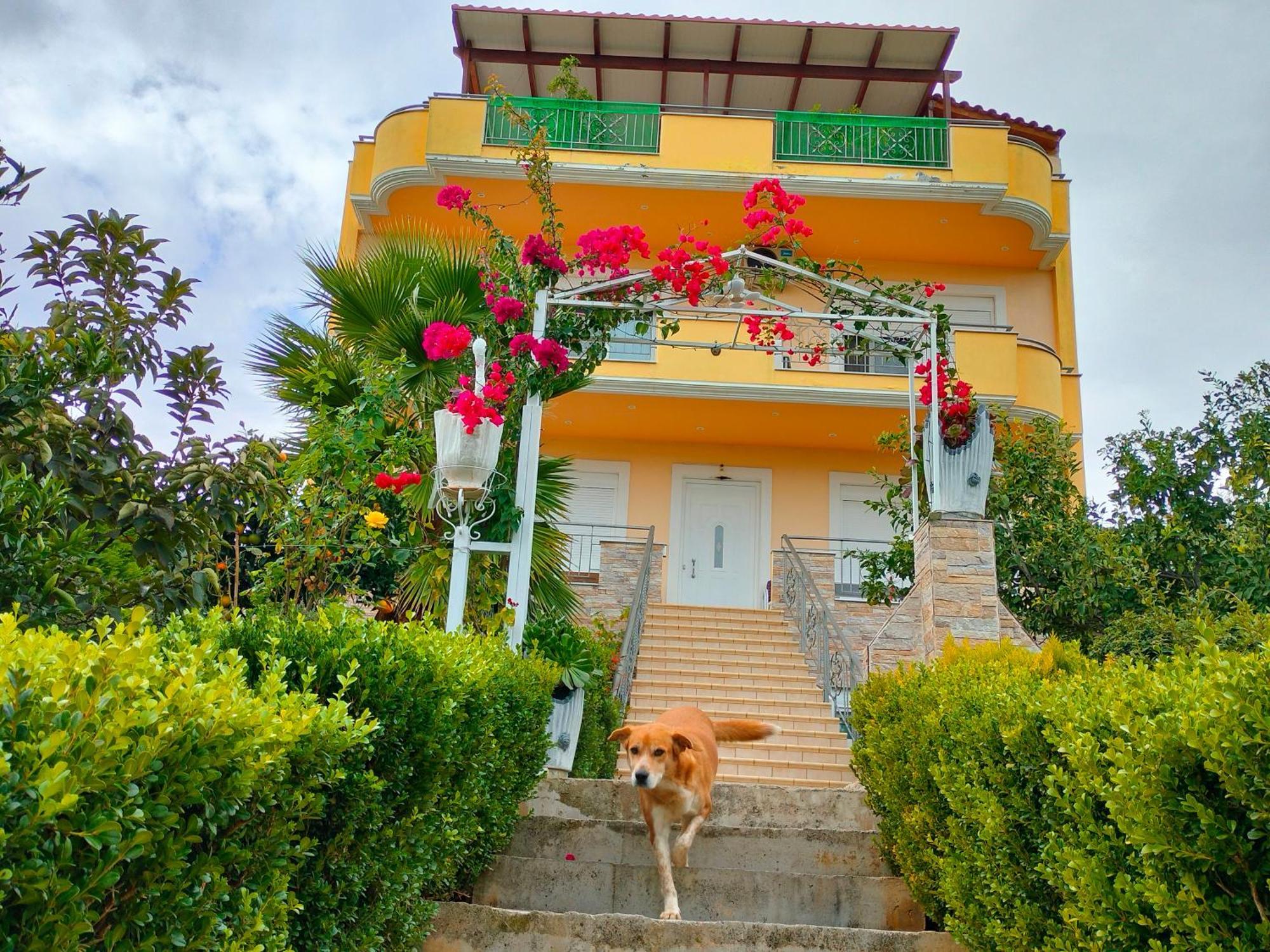 House With Wonderful View Apartment Lefkandi Chalkidas Ngoại thất bức ảnh